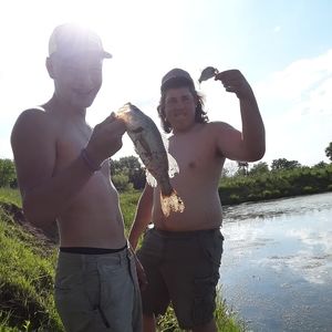 Meet your Posher, Hunter